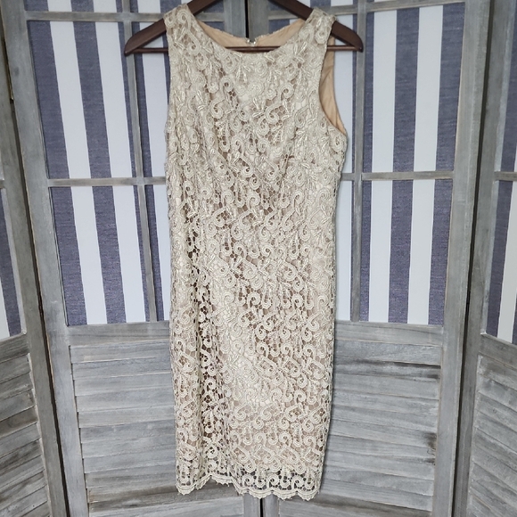 Elegant Lace Sleeveless Dress - Picture 1 of 5